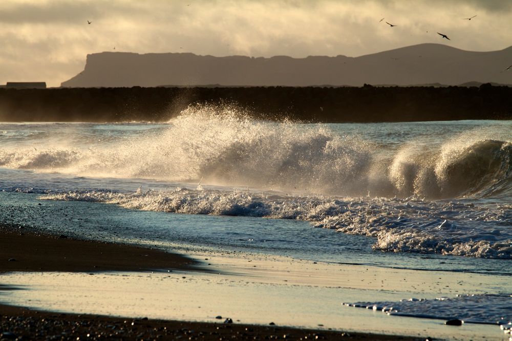 Abendstimmung in Vik.