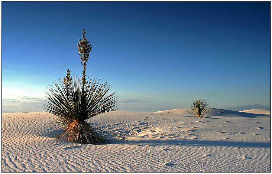 Abendstimmung in White Sands [14]