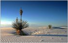 White Sands National Monument