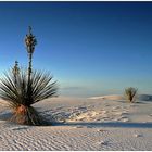 Abendstimmung in White Sands [14]