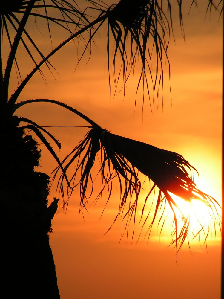 Abendstimmung Insel Brac / Kroatien