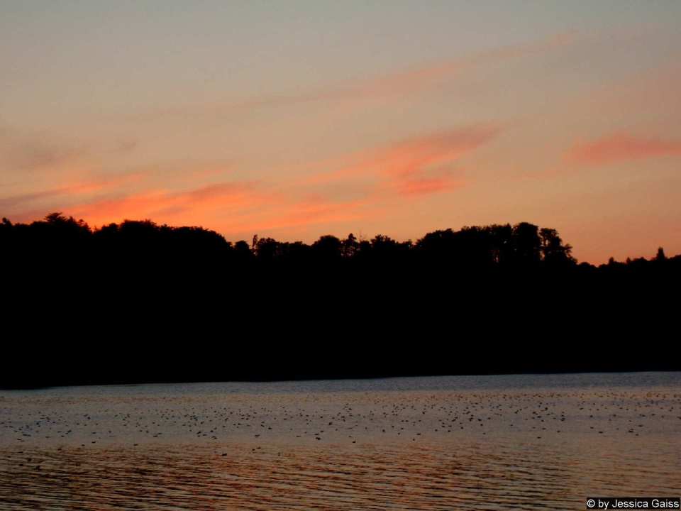 Abendstimmung Insel Mainau