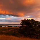 Abendstimmung - Inselblick Hiddensee