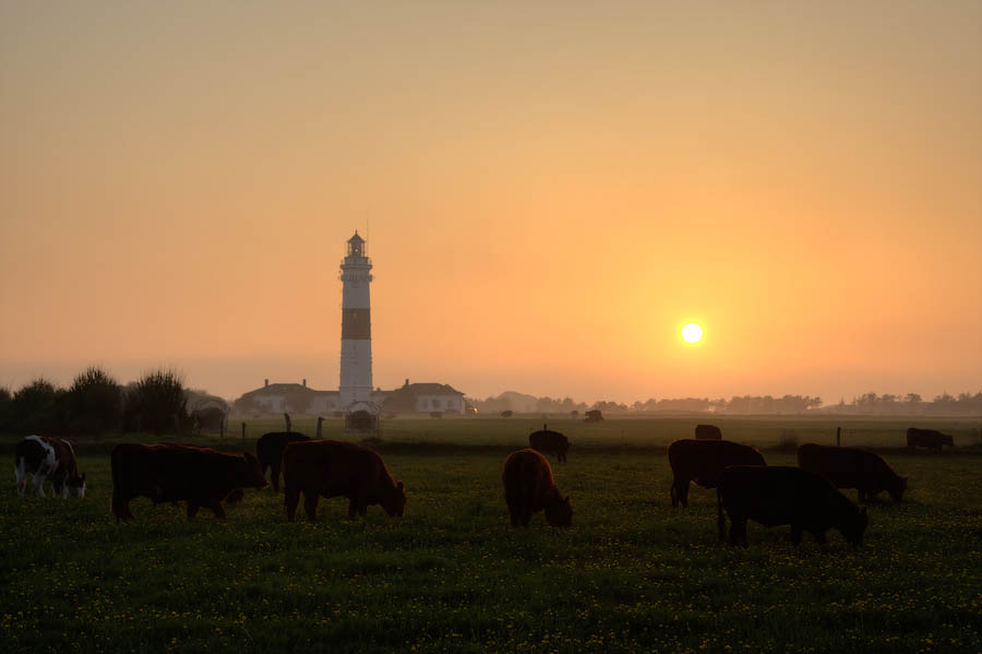 Abendstimmung Kampen