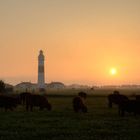 Abendstimmung Kampen