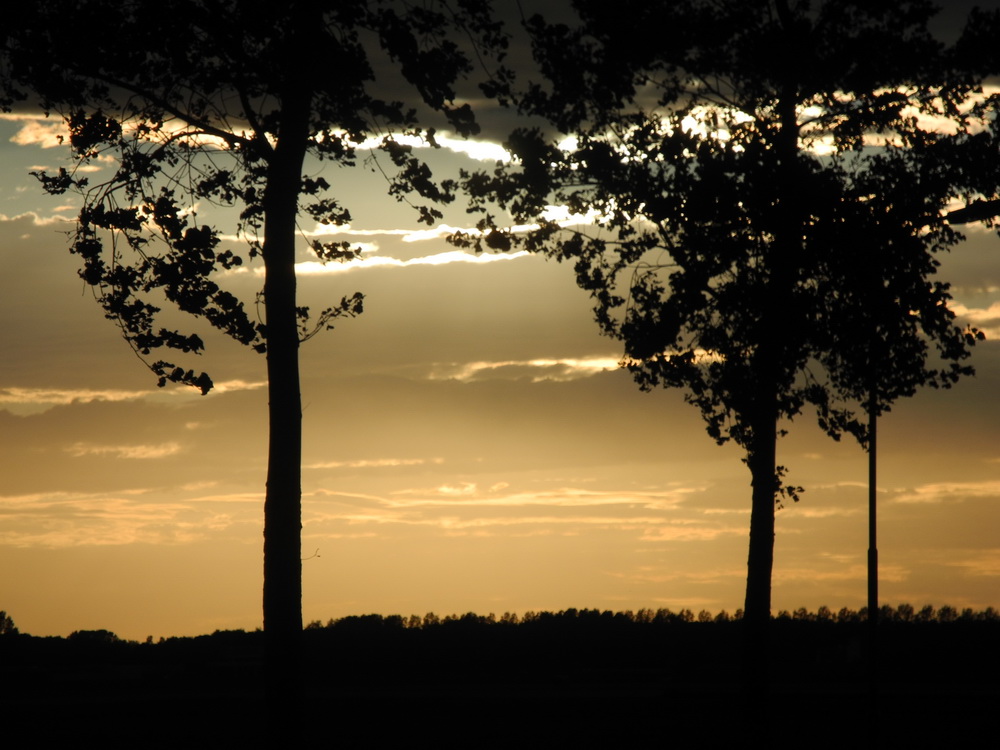 Abendstimmung Kamperland