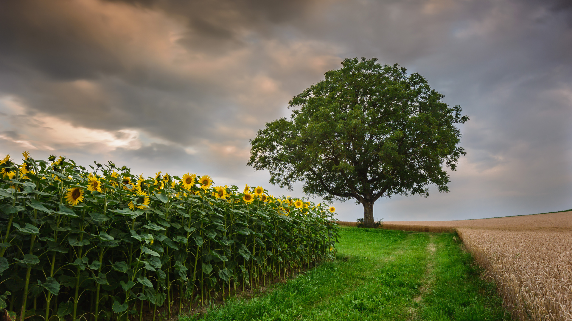 Abendstimmung Kirchlindach