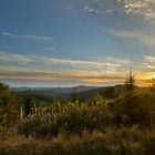 Abendstimmung - krönender Abschluß erlebnisreicher Tage der Rotwildbrunft