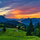 Abendstimmung Lauerzersee Schwyz