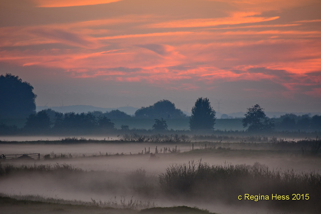 ......Abendstimmung mit aufkommenden Nebel