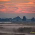 ......Abendstimmung mit aufkommenden Nebel