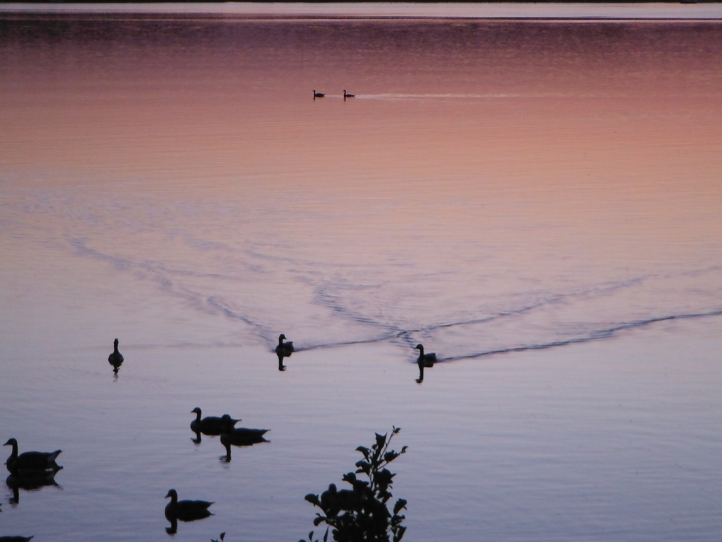 Abendstimmung mit Bewegung