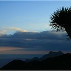 Abendstimmung mit Drachenbaum