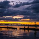 Abendstimmung mit kleinem Starenschwarm am Müggelsee