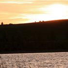 Abendstimmung mit Kühen am Bannwaldsee im Allgäu