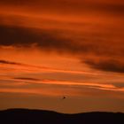 Abendstimmung mit Mauerseglern über Balazuc