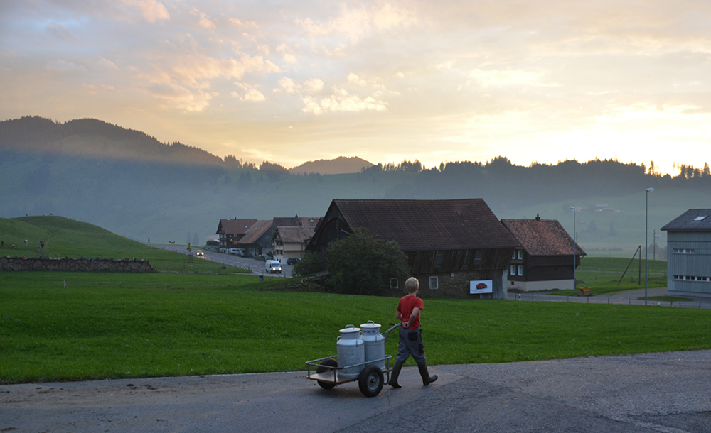 Abendstimmung mit Milch :-)