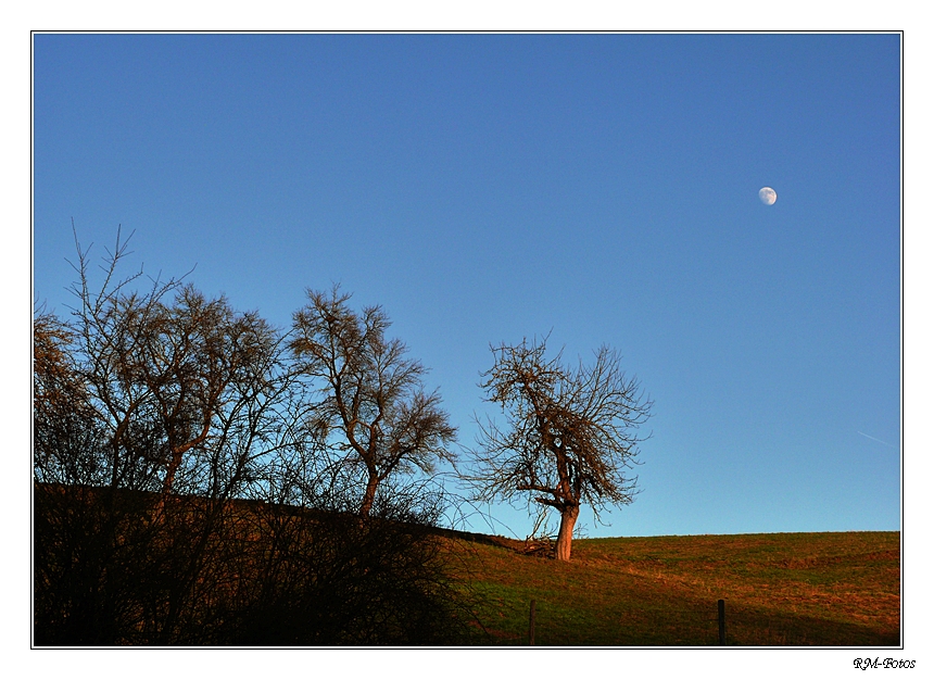 Abendstimmung mit Mond