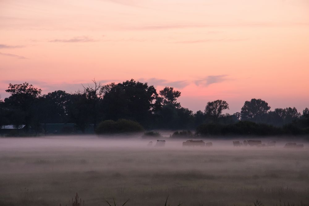 Abendstimmung mit Nebel