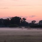 Abendstimmung mit Nebel