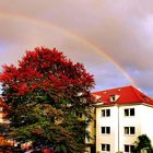 Abendstimmung mit Regenbogen