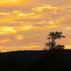 Abendstimmung mit schönem Sonnenuntergang