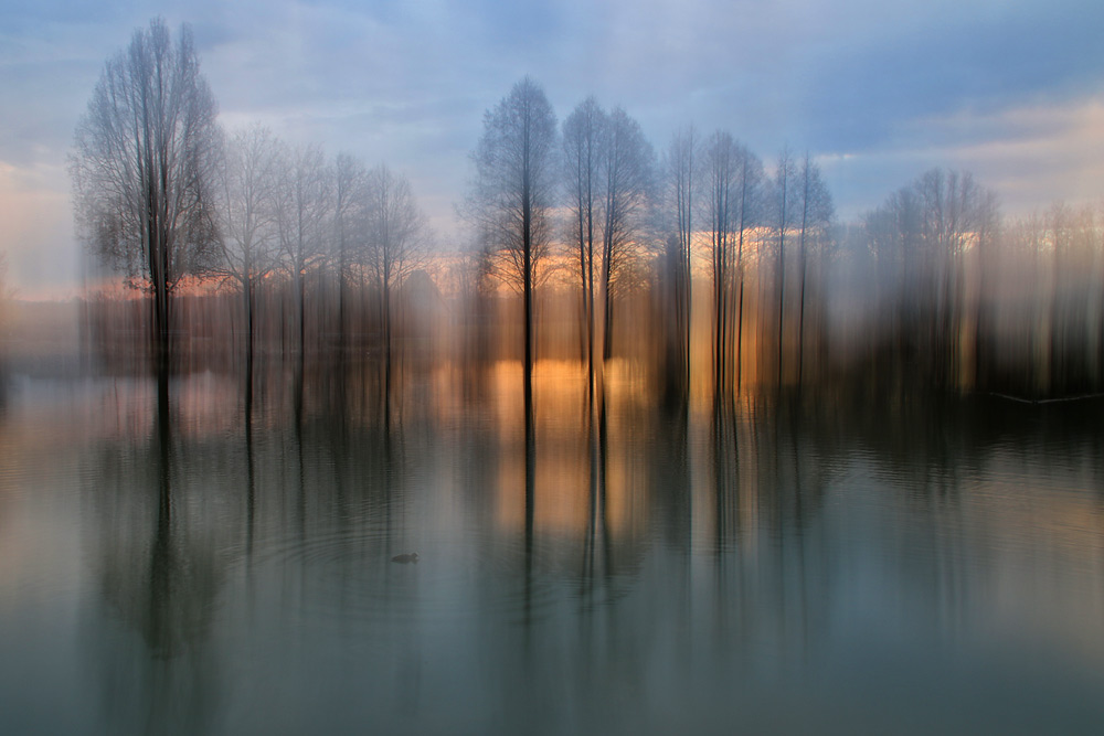 Abendstimmung mit Wischeffekt am Weiher