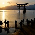 Abendstimmung Miyajima