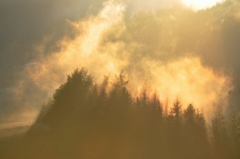 Abendstimmung nach dem Regen