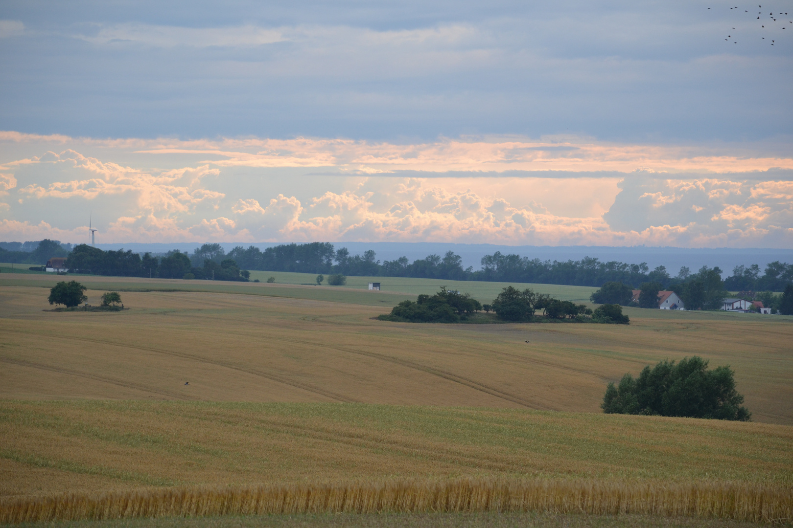 Abendstimmung nach dem Regen