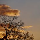 Abendstimmung nach einem kalten Regentag.