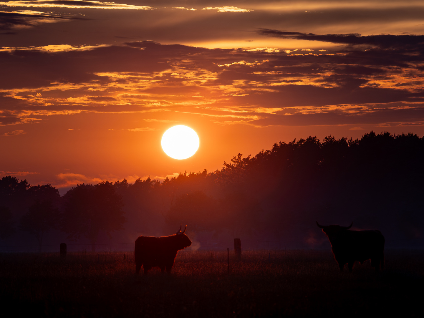 Abendstimmung. Nach Regen folgt auch wieder Sonnenschein! 