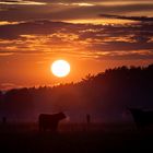 Abendstimmung. Nach Regen folgt auch wieder Sonnenschein! 