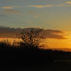 Abendstimmung Nähe Flughafen Fuhlsbüttel