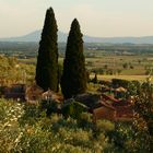 Abendstimmung nahe Cortona...