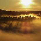 Abendstimmung Nebel über Wälder. 