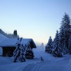 Abendstimmung/ Nebelschwaden über den Loipen