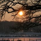 Abendstimmung Niederrhein