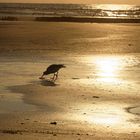 Abendstimmung - Norderney 2015