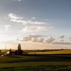 Abendstimmung Nummer zwei bei Homberg (Ratingen)