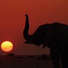 Abendstimmung, Nxai Pan, Botswana