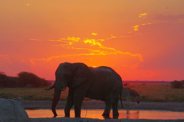 Abendstimmung Nxai Pan, Botswana