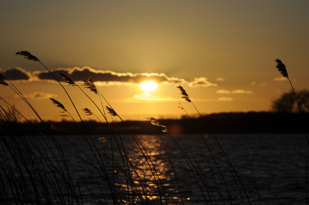 Abendstimmung, Ostsee