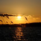 Abendstimmung, Ostsee