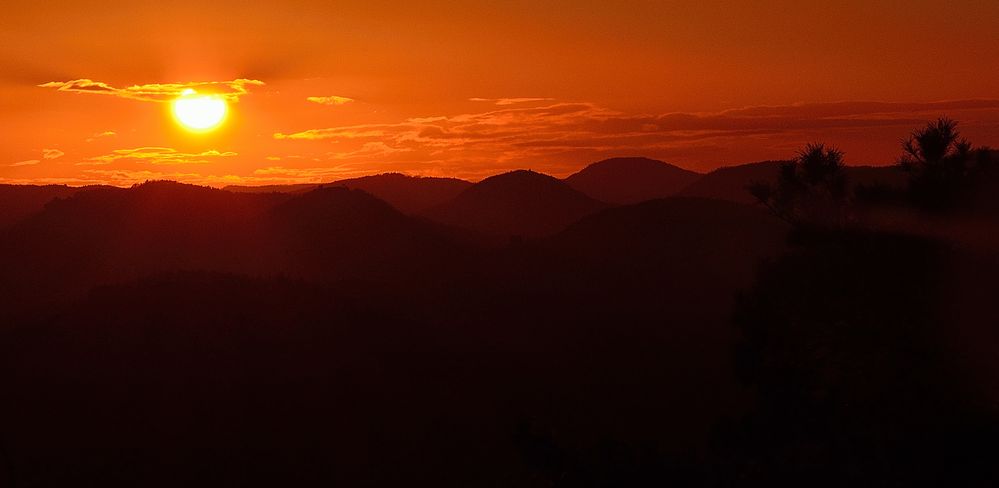 Abendstimmung Pfälzer Wald