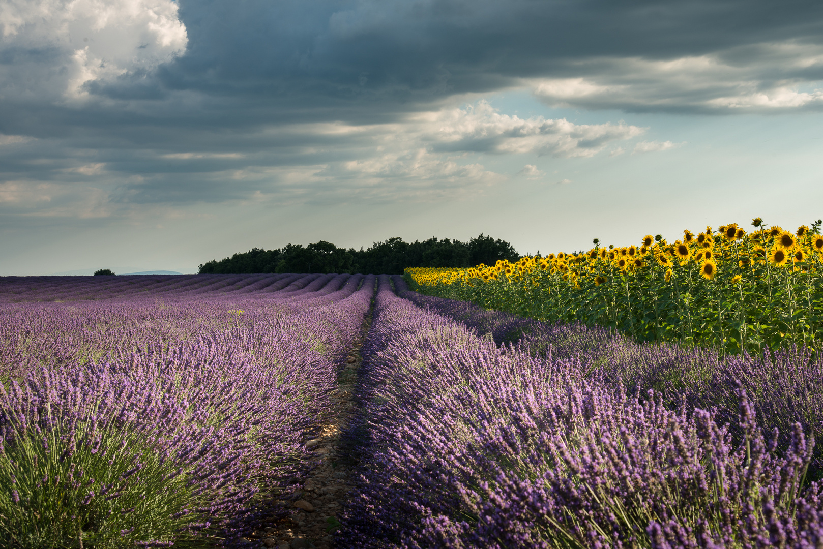 Abendstimmung - Provence