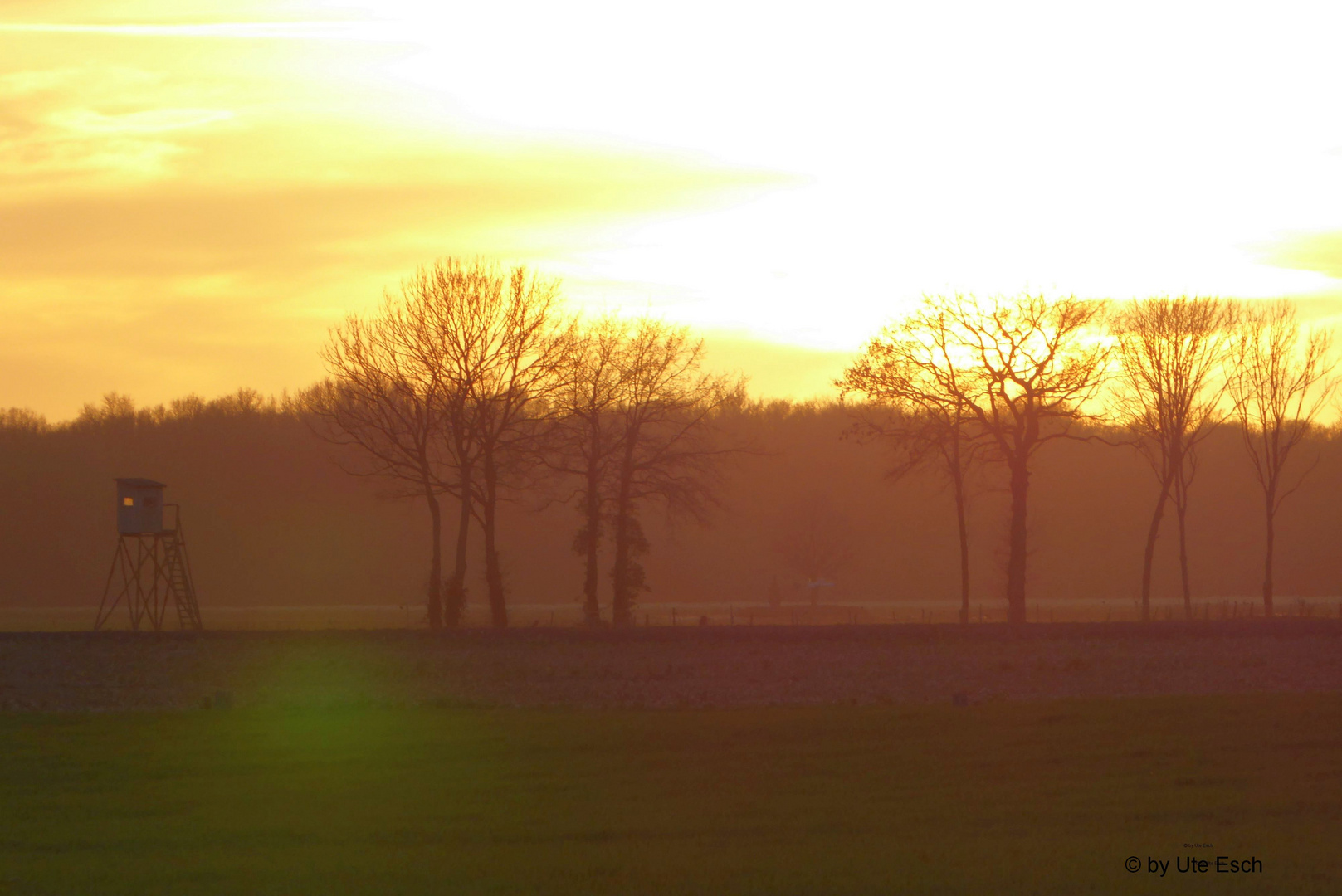 Abendstimmung Schmitzheide