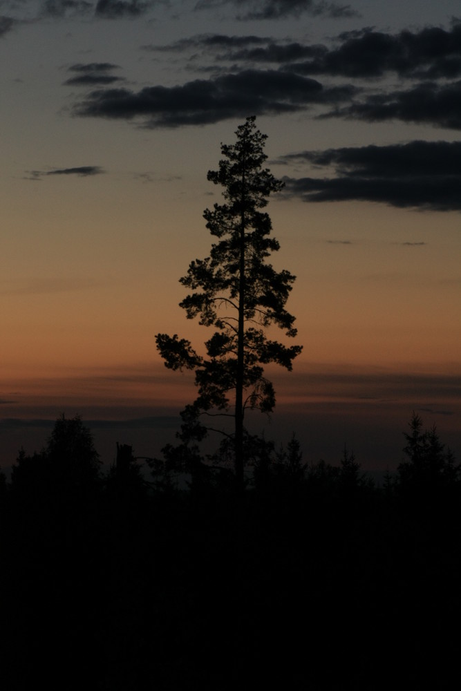 Abendstimmung Schweden