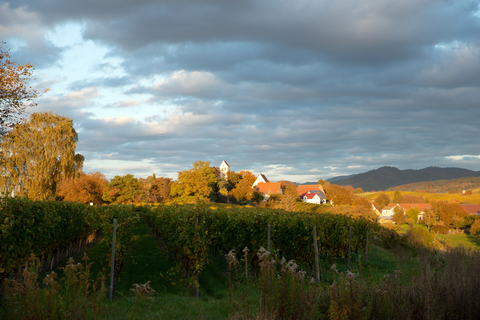 Abendstimmung / Sonne