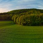 Abendstimmung Steinbergen II